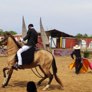 FULL DAY TOURS INCLUDING BEST OF TRUJILLO