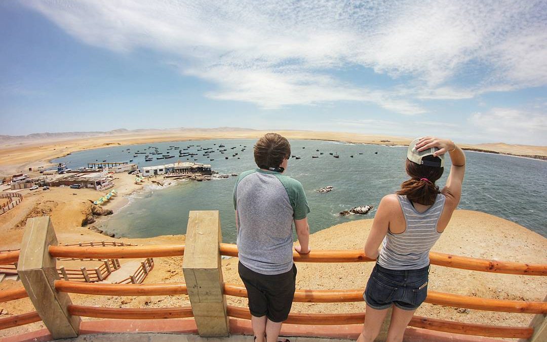 Paracas Shore Excursion  from San Martin Port