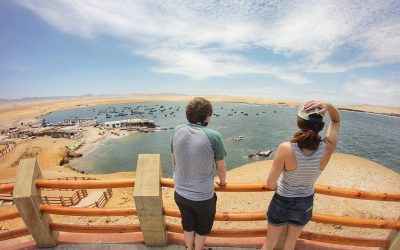Paracas Shore Excursion  from San Martin Port