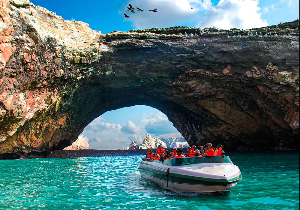 paracas tours full day from lima