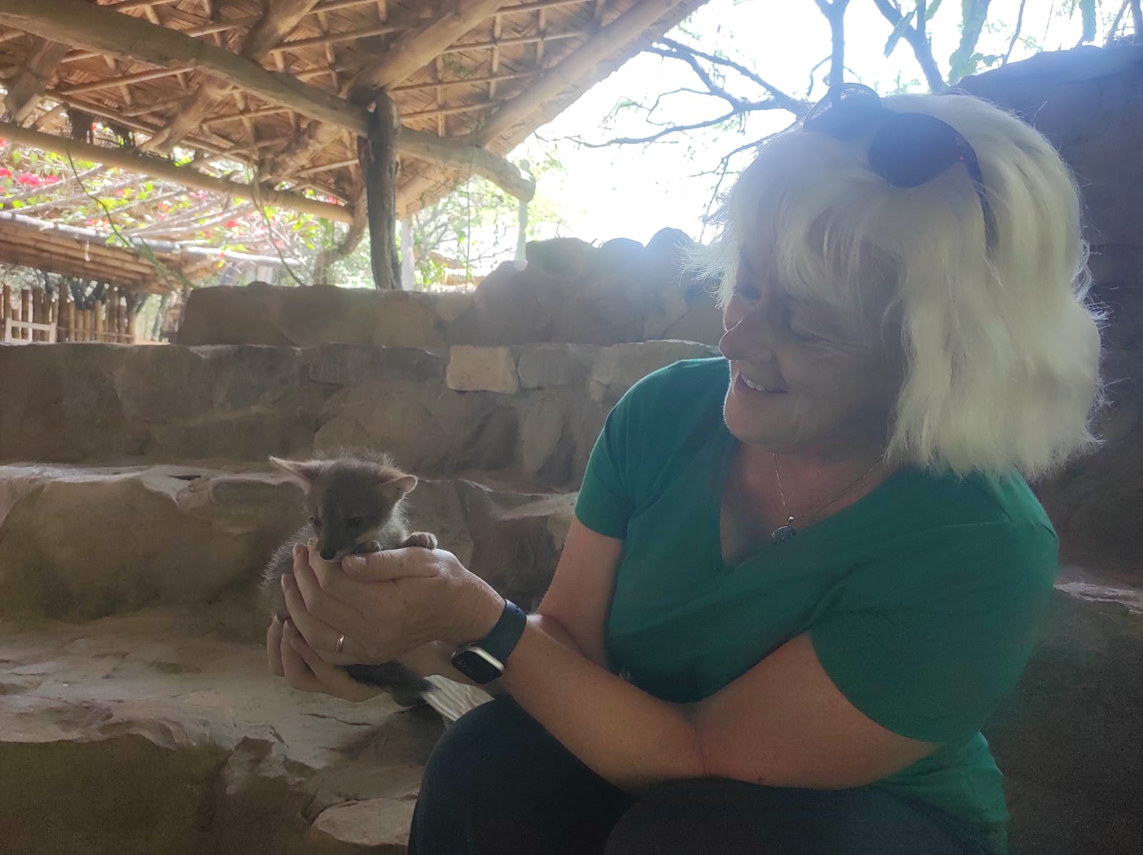 Discover Chaparri Ecological Reserve near Chiclayo, Peru. Spot spectacled bears, explore the dry forest and experience an unforgettable wildlife and ecotourism adventure.